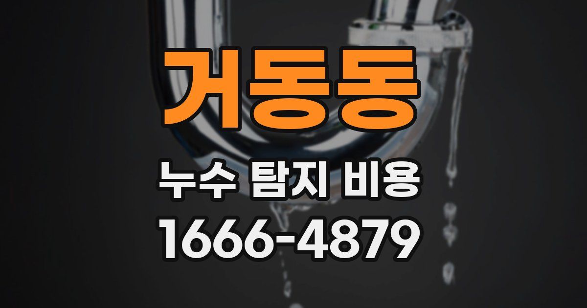 거동동 누수 탐지 비용