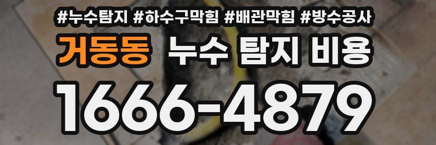 거동동 누수 탐지 비용