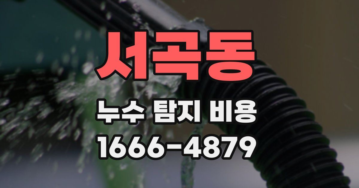 서곡동 누수 탐지 비용