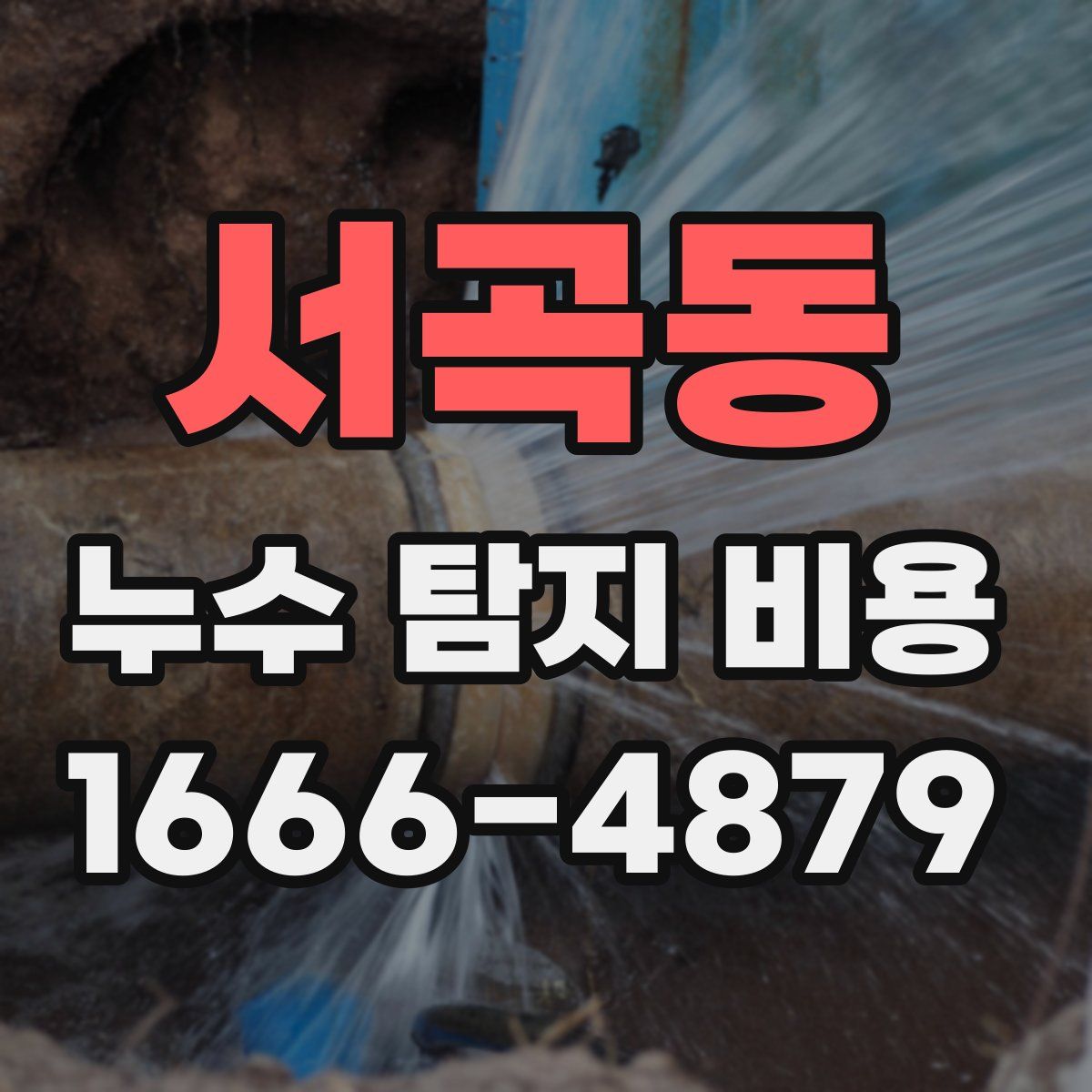 서곡동 누수 탐지 비용