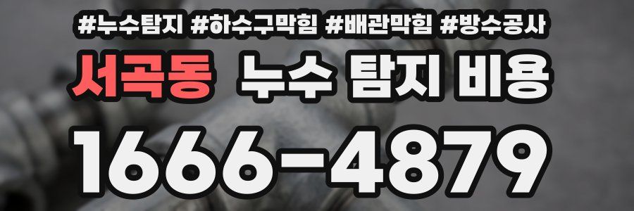 서곡동 누수 탐지 비용