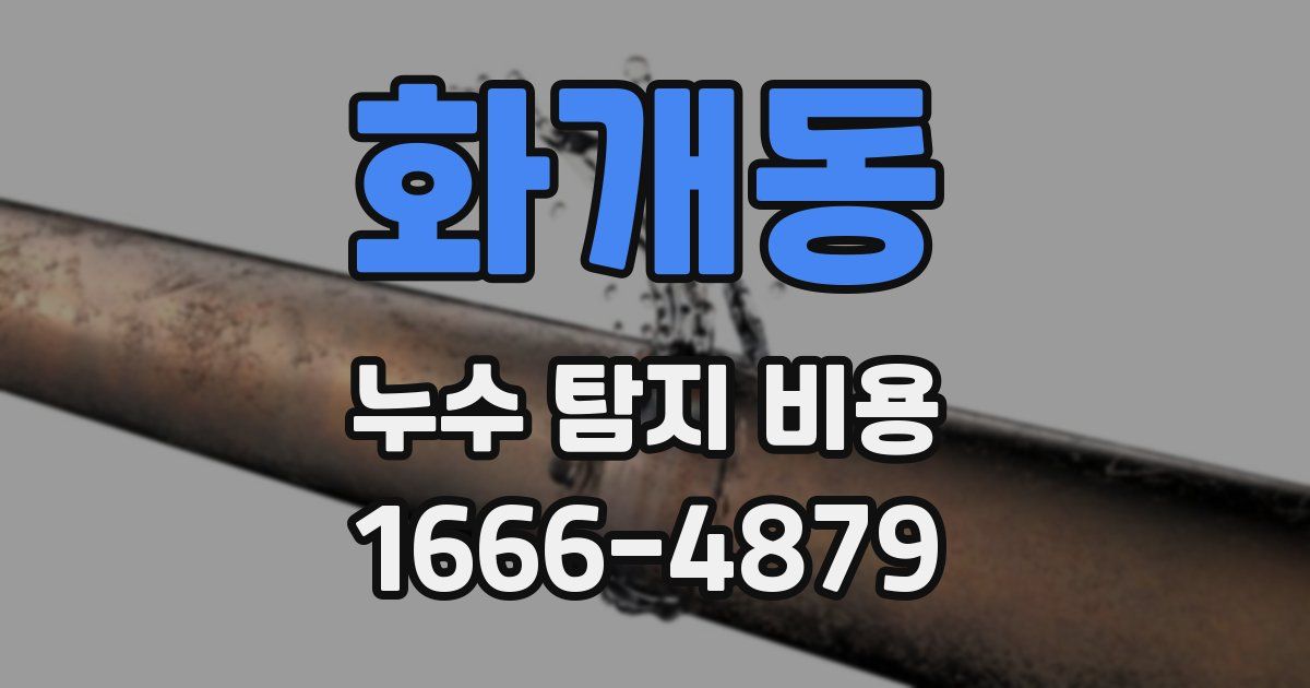 화개동 누수 탐지 비용