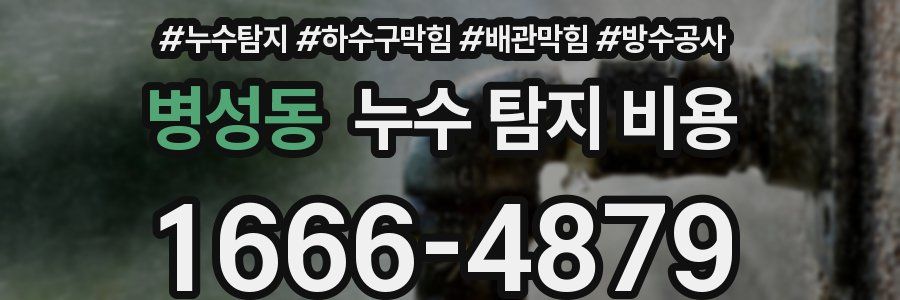 병성동 누수 탐지 비용