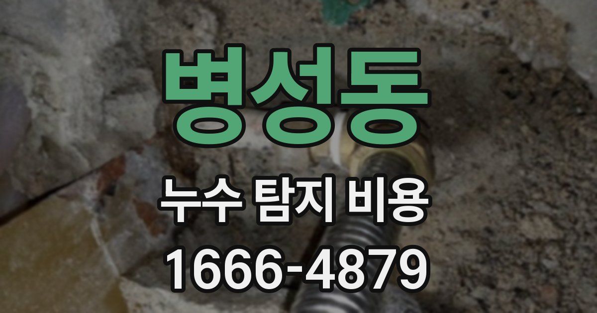 병성동 누수 탐지 비용