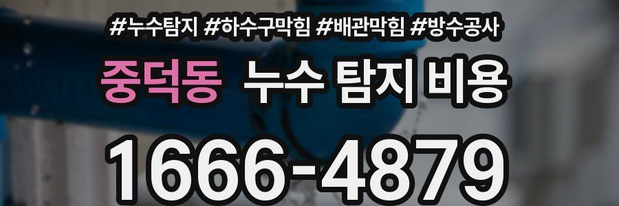 중덕동 누수 탐지 비용