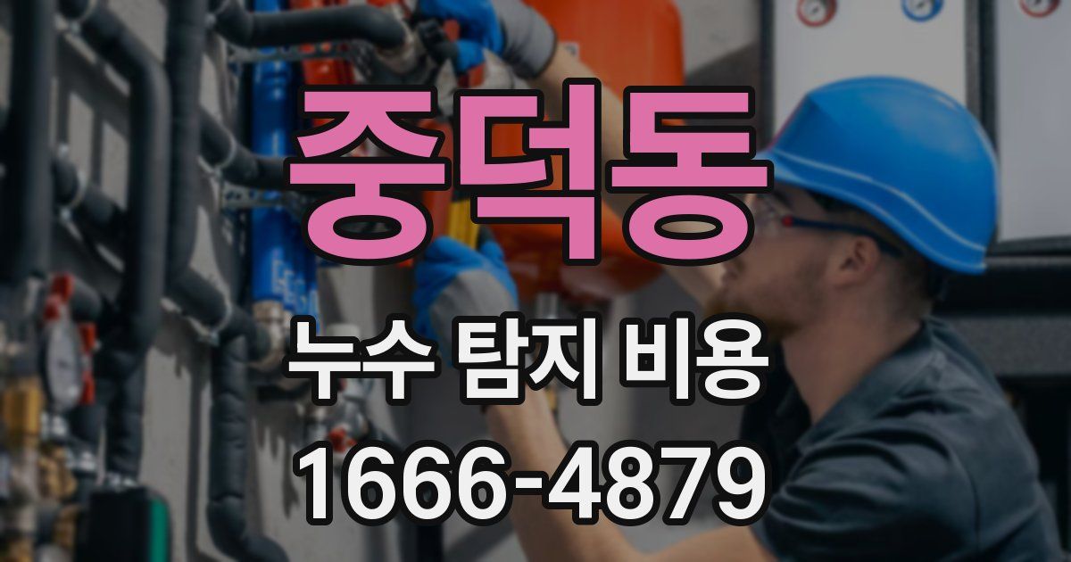 중덕동 누수 탐지 비용
