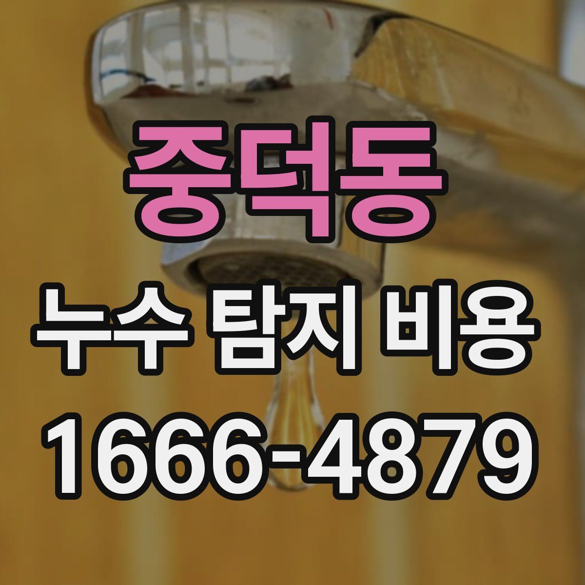 중덕동 누수 탐지 비용