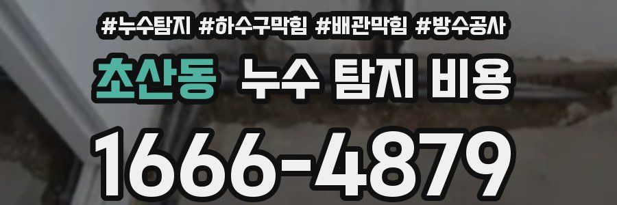 초산동 누수 탐지 비용