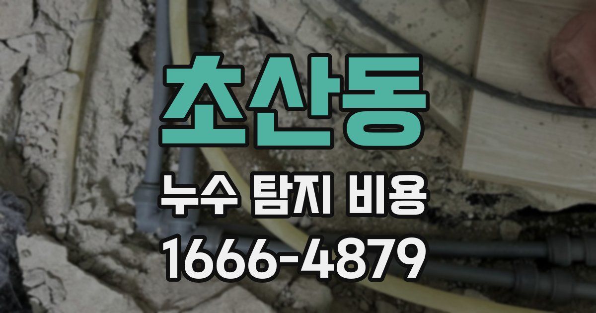 초산동 누수 탐지 비용