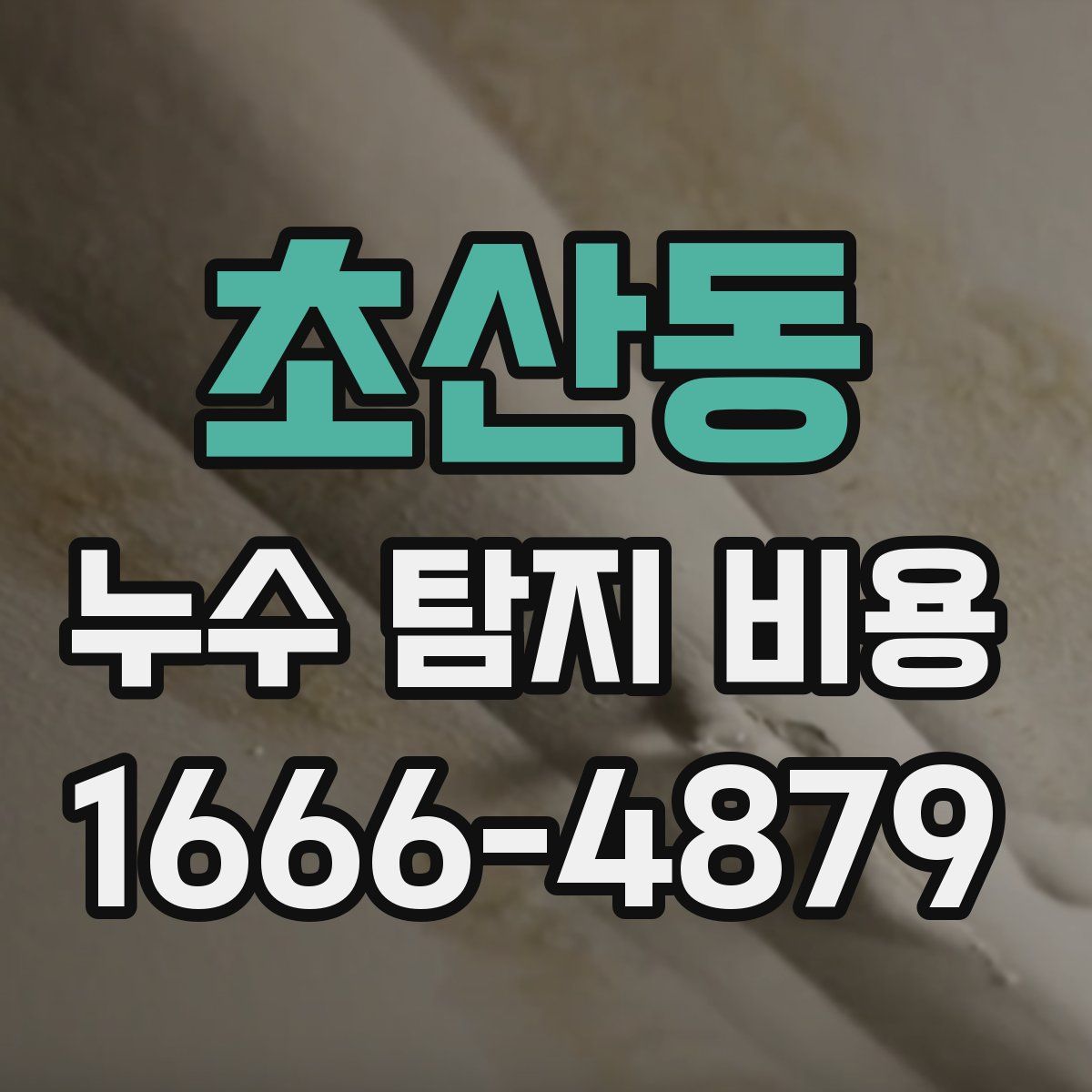 초산동 누수 탐지 비용