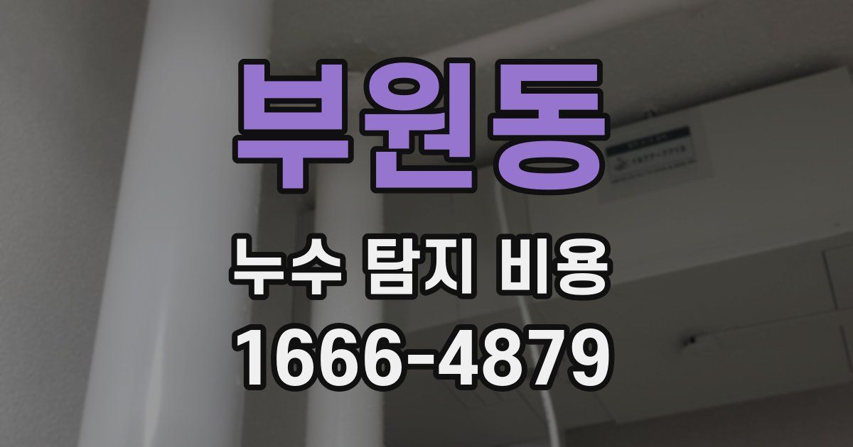 부원동 누수 탐지 비용