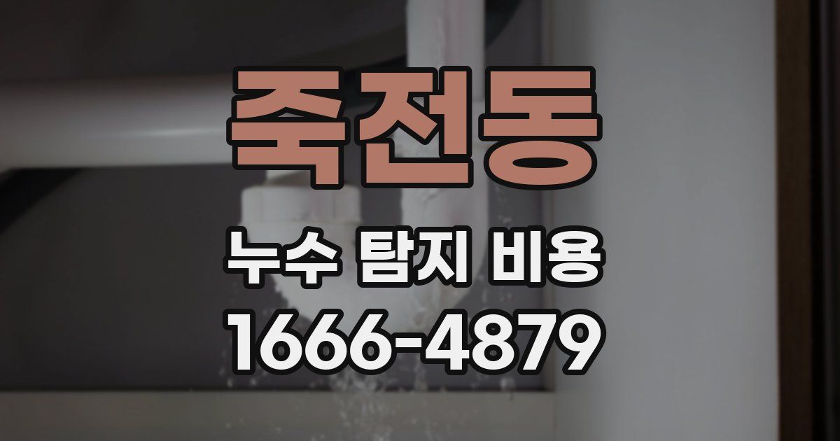 죽전동 누수 탐지 비용