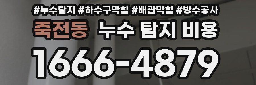 죽전동 누수 탐지 비용