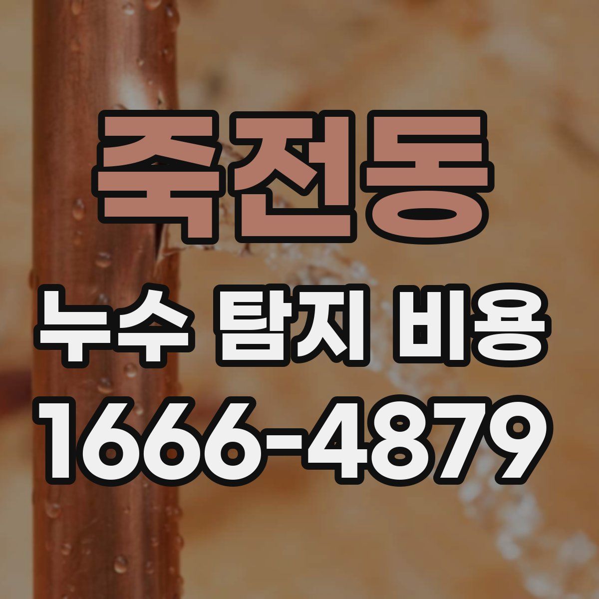 죽전동 누수 탐지 비용