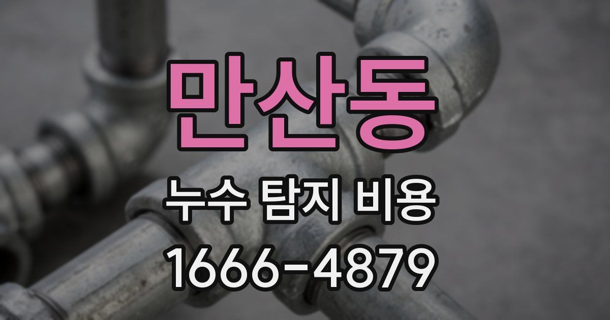 만산동 누수 탐지 비용