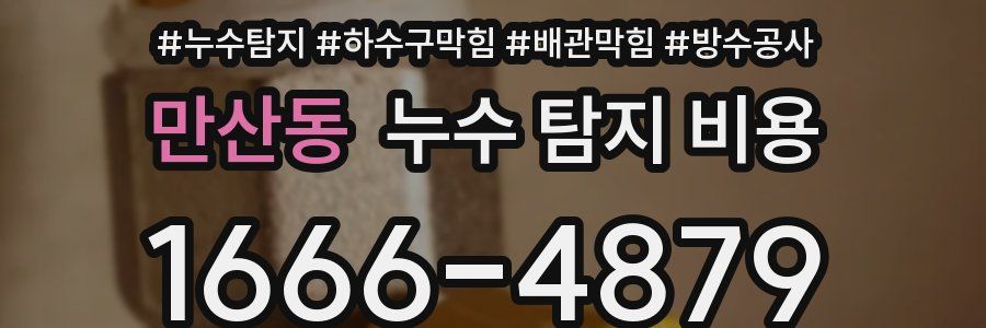 만산동 누수 탐지 비용