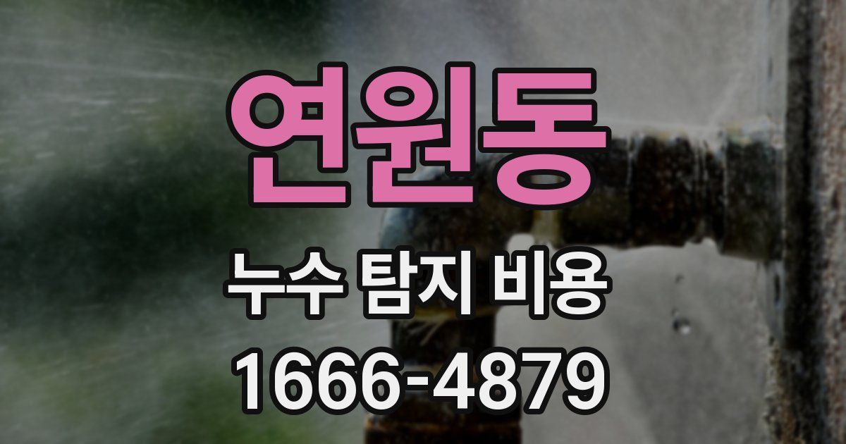 연원동 누수 탐지 비용