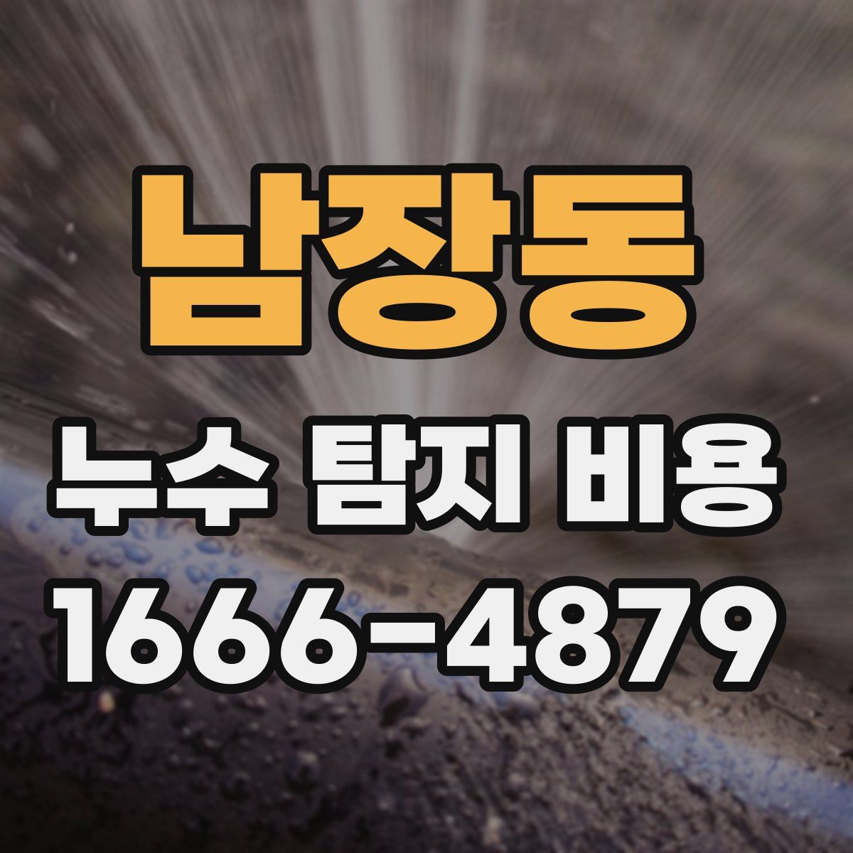 남장동 누수 탐지 비용