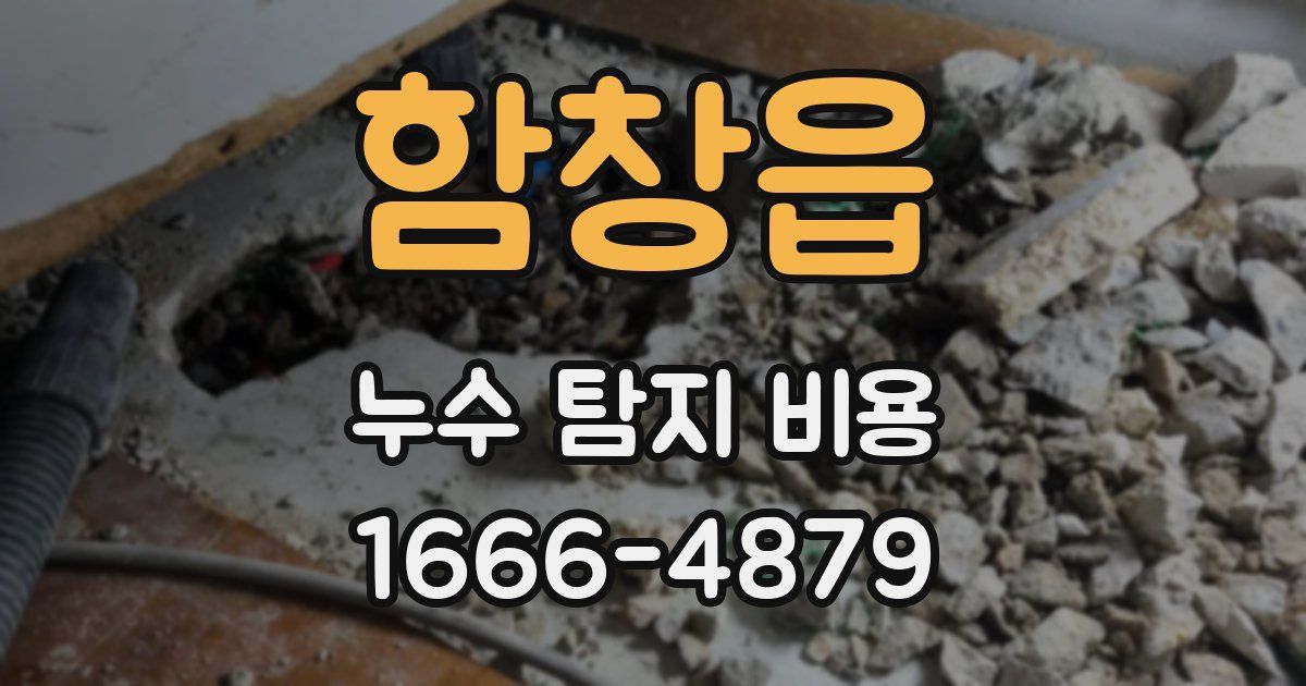 함창읍 누수 탐지 비용