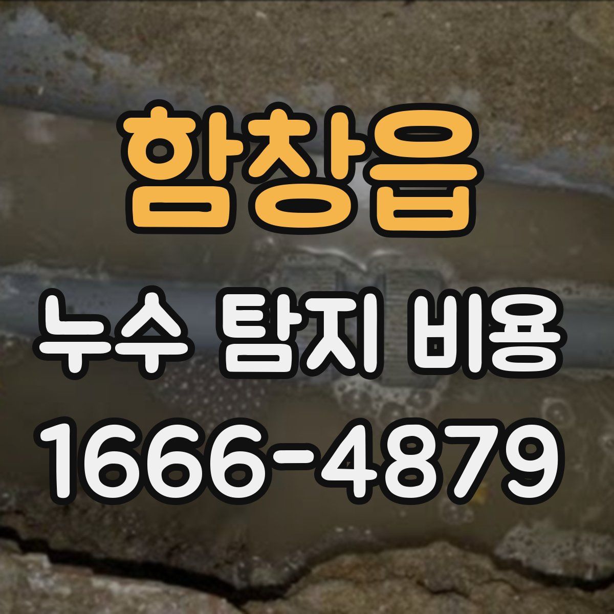 함창읍 누수 탐지 비용