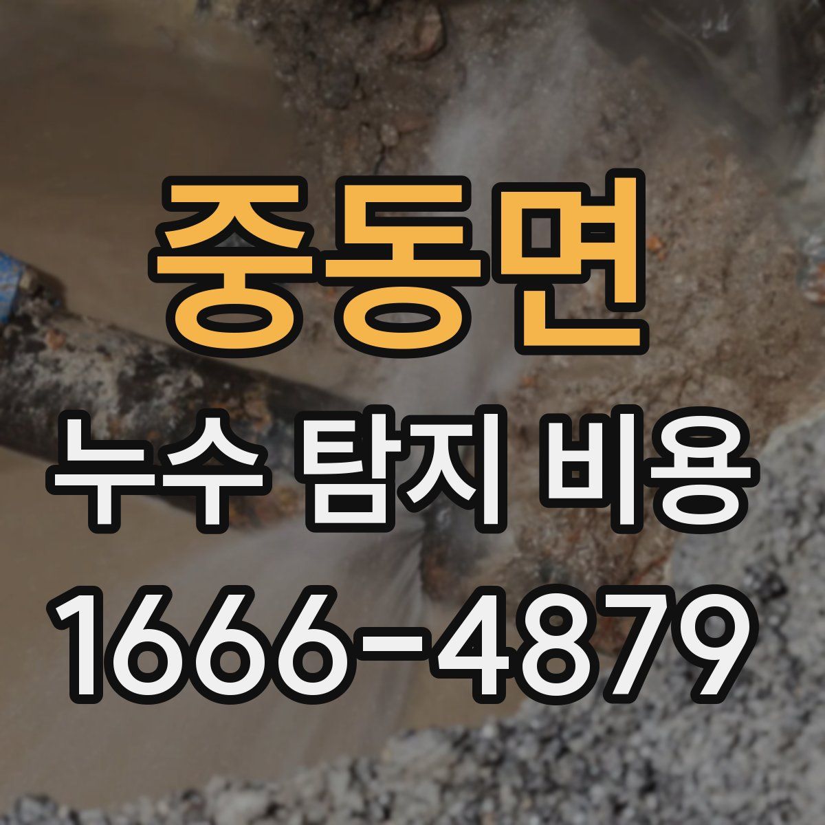 중동면 누수 탐지 비용
