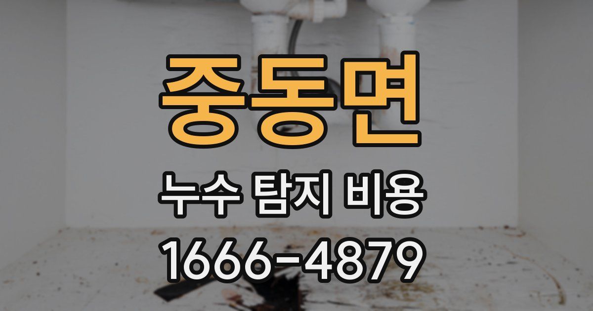 중동면 누수 탐지 비용