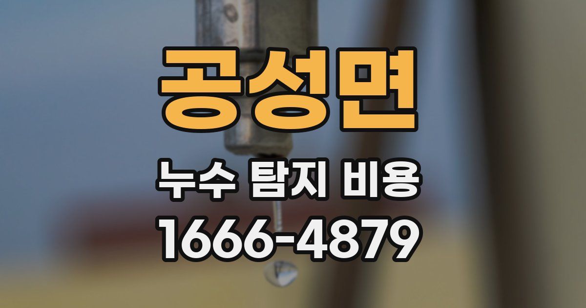 공성면 누수 탐지 비용