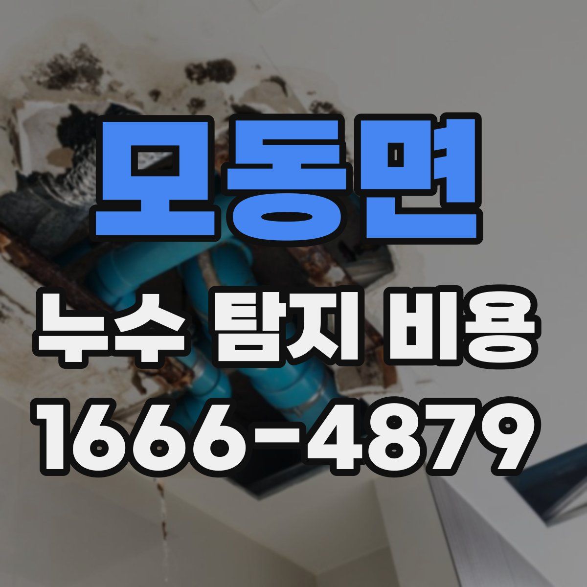 모동면 누수 탐지 비용