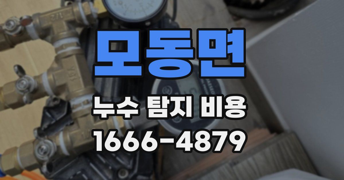모동면 누수 탐지 비용