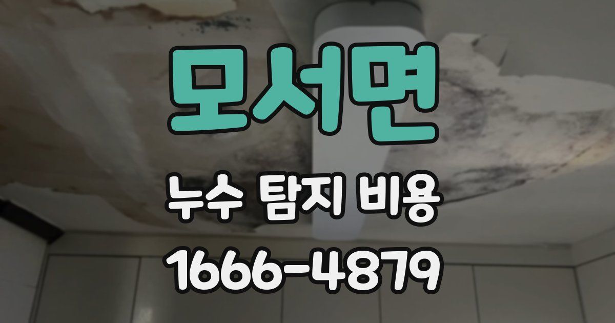 모서면 누수 탐지 비용