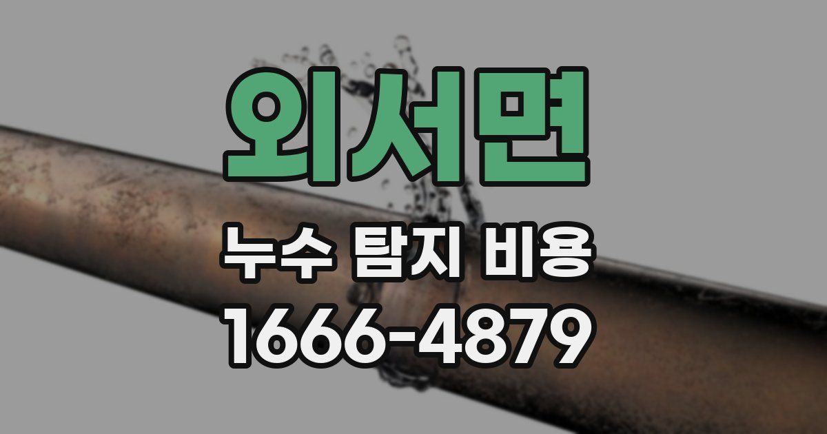 외서면 누수 탐지 비용