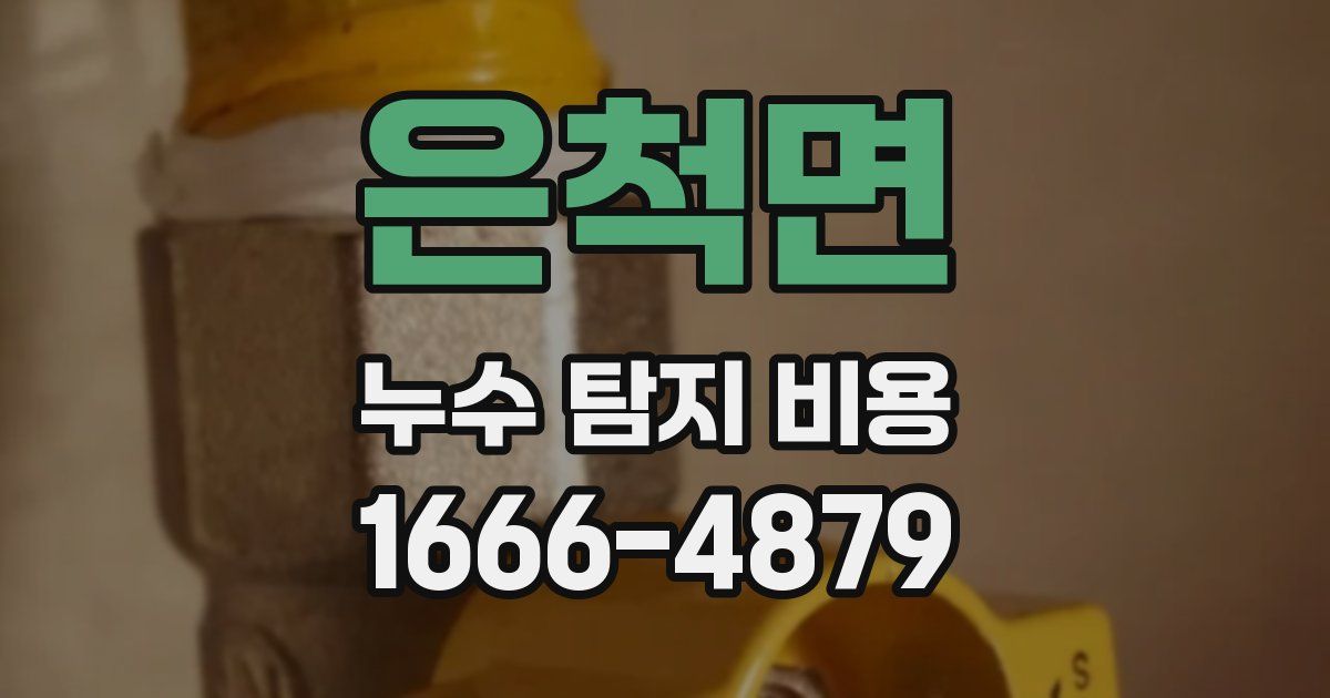 은척면 누수 탐지 비용
