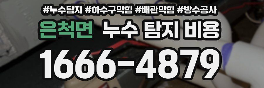 은척면 누수 탐지 비용