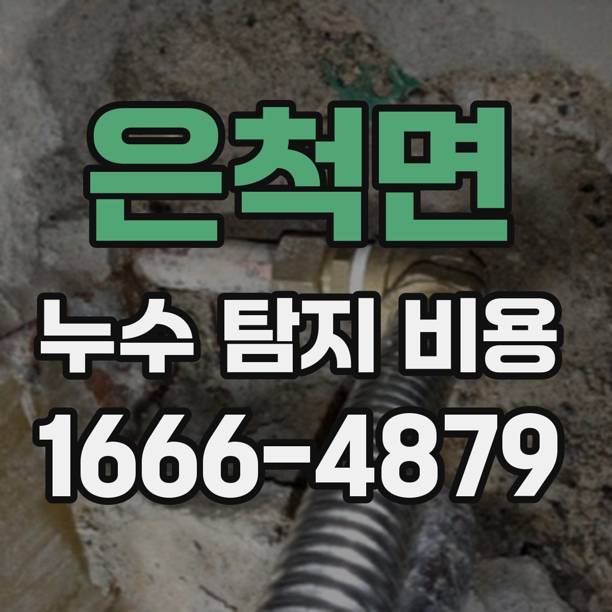 은척면 누수 탐지 비용