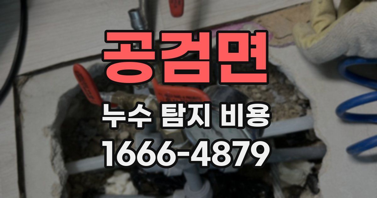 공검면 누수 탐지 비용
