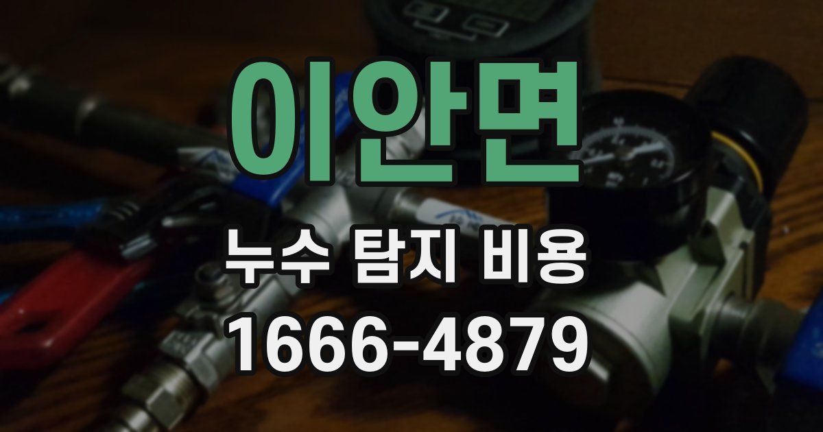 이안면 누수 탐지 비용
