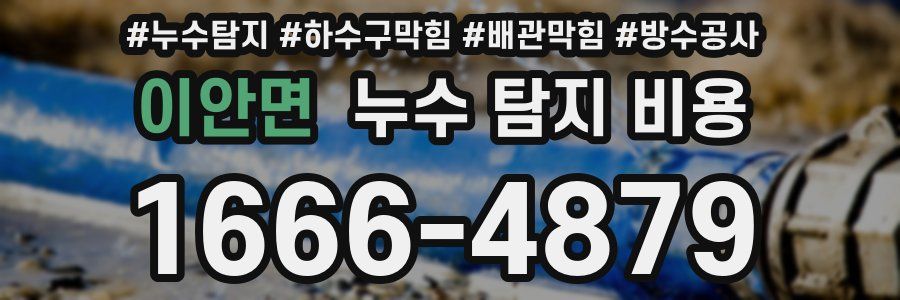 이안면 누수 탐지 비용
