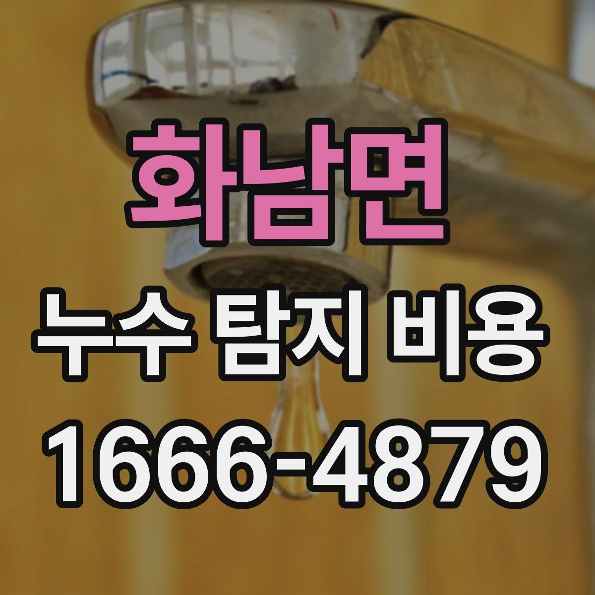 화남면 누수 탐지 비용