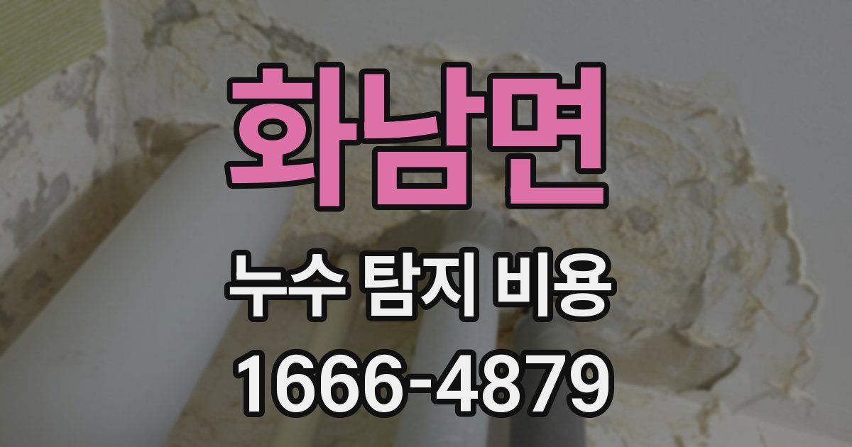 화남면 누수 탐지 비용