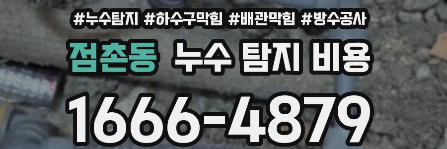 점촌동 누수 탐지 비용