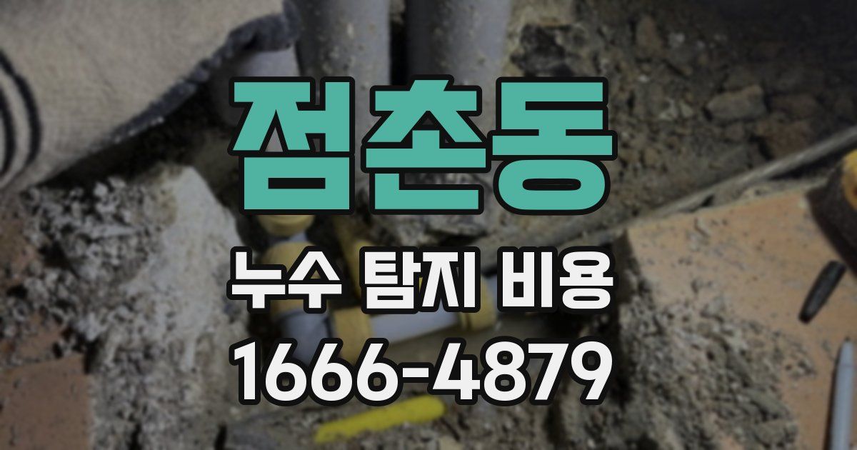 점촌동 누수 탐지 비용
