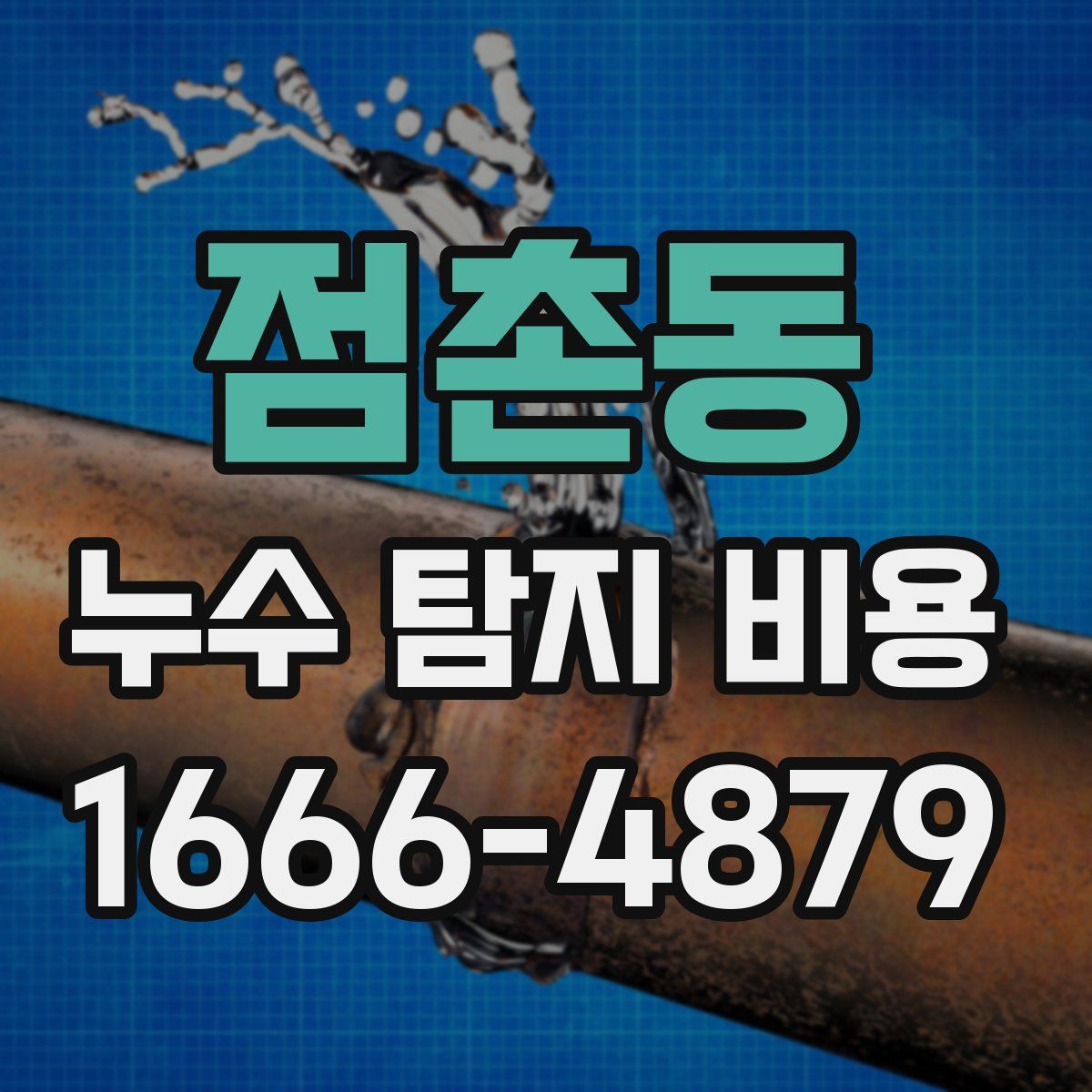 점촌동 누수 탐지 비용