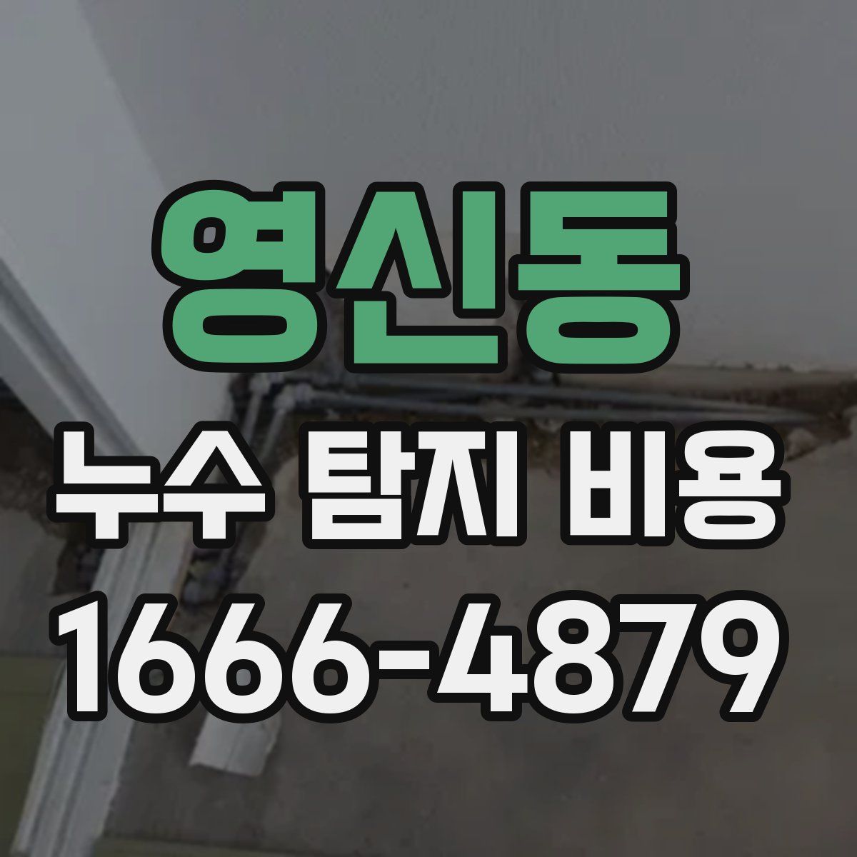 영신동 누수 탐지 비용