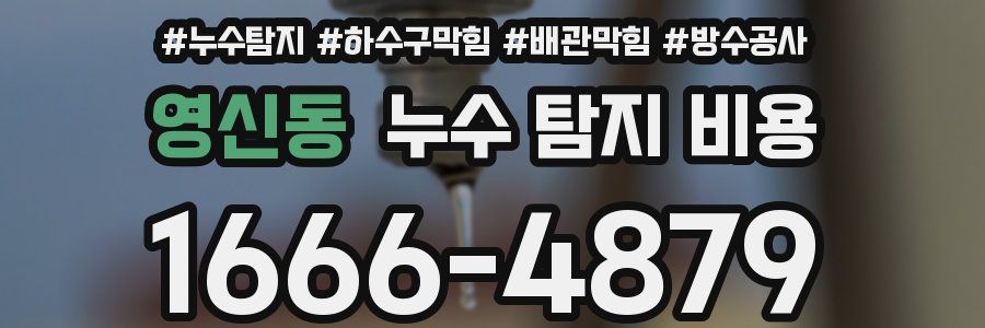 영신동 누수 탐지 비용