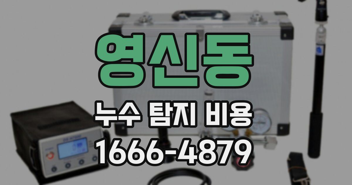 영신동 누수 탐지 비용