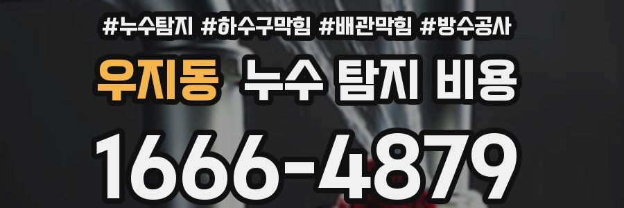 우지동 누수 탐지 비용