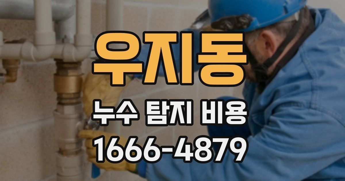 우지동 누수 탐지 비용