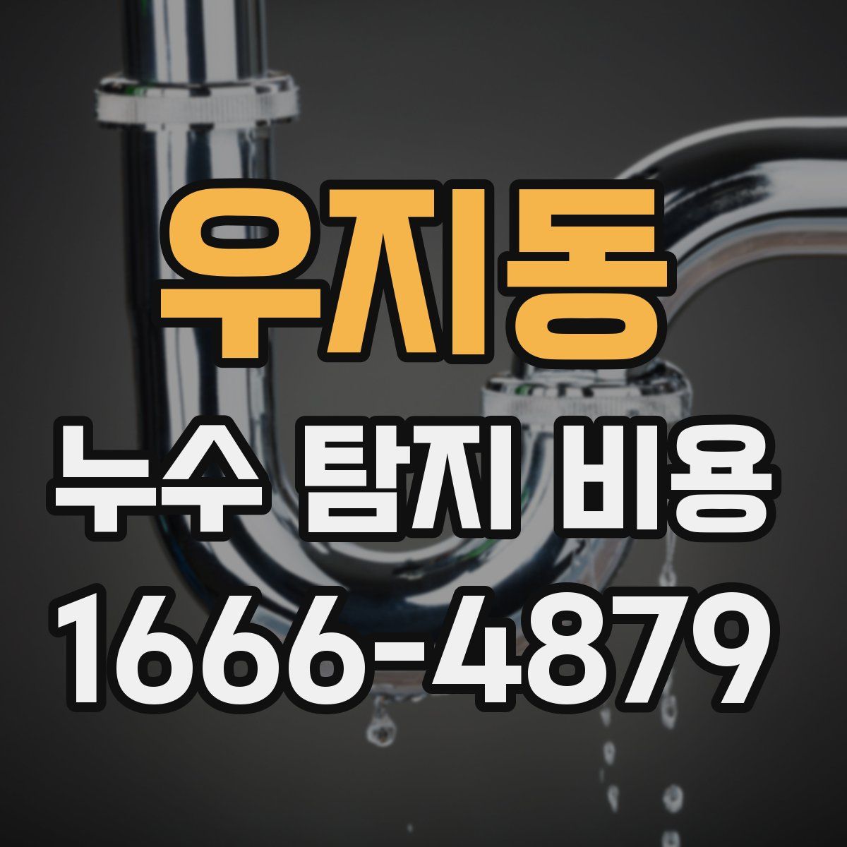 우지동 누수 탐지 비용