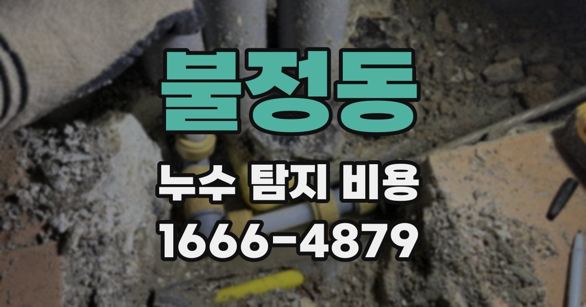 불정동 누수 탐지 비용