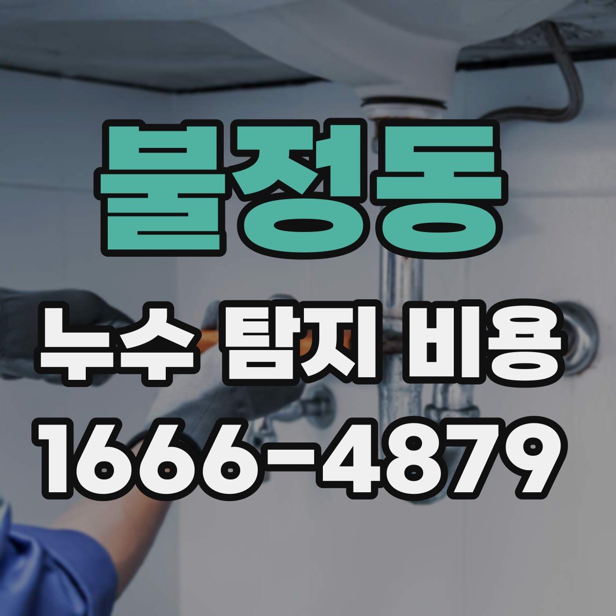 불정동 누수 탐지 비용